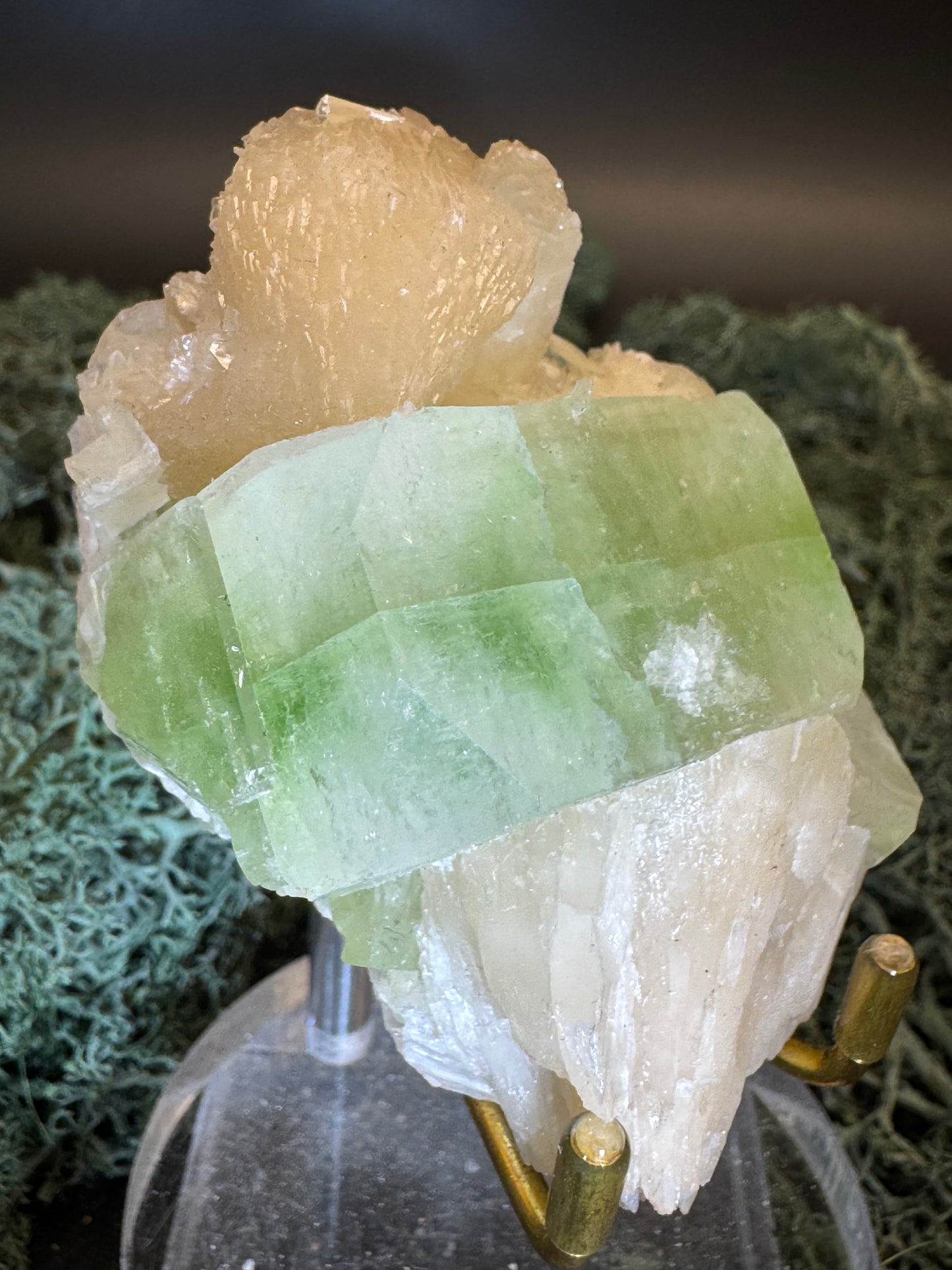 Apophyllite Stilbite Cluster from India (78g)