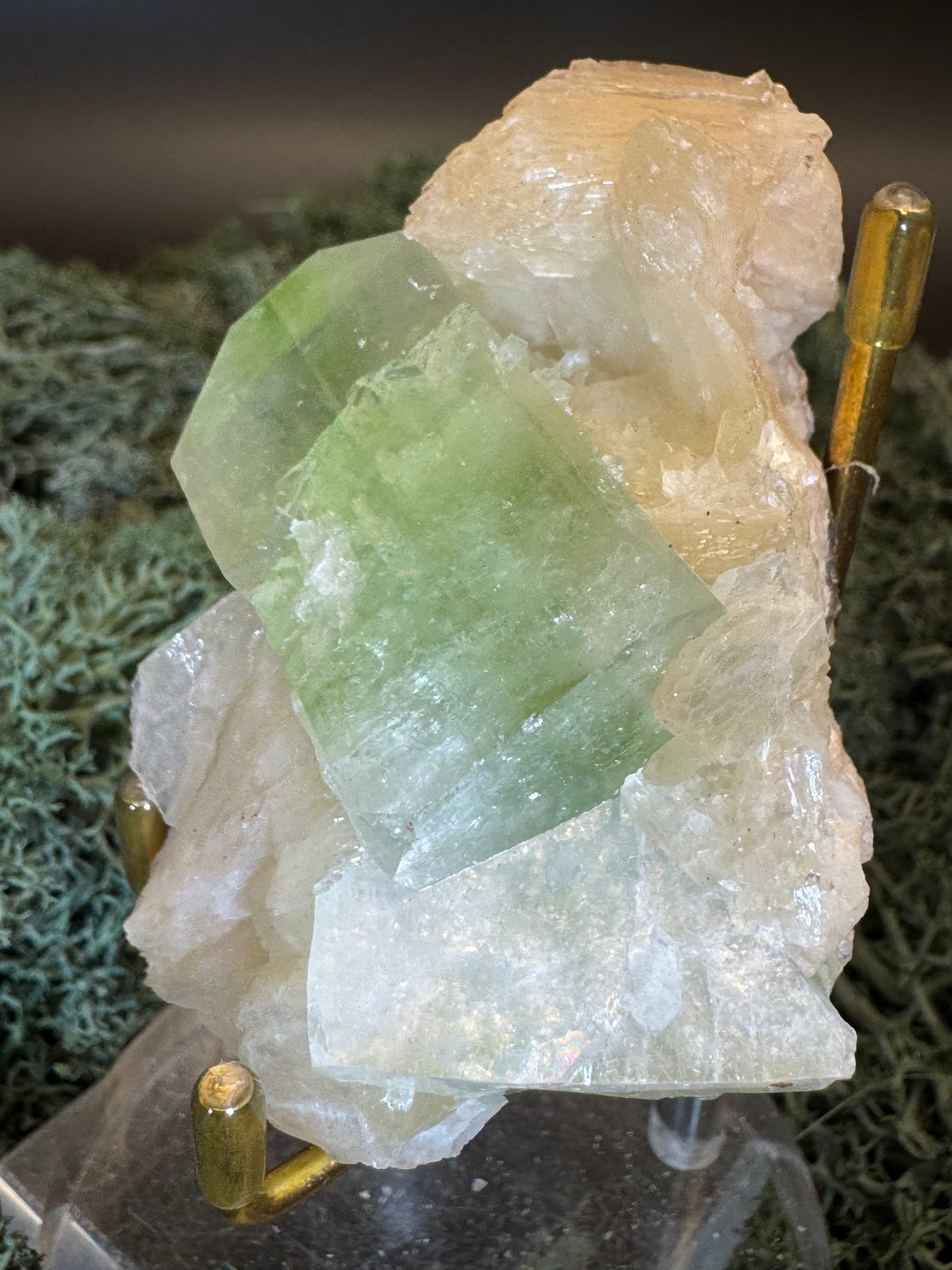 Apophyllite Stilbite Cluster from India (78g)