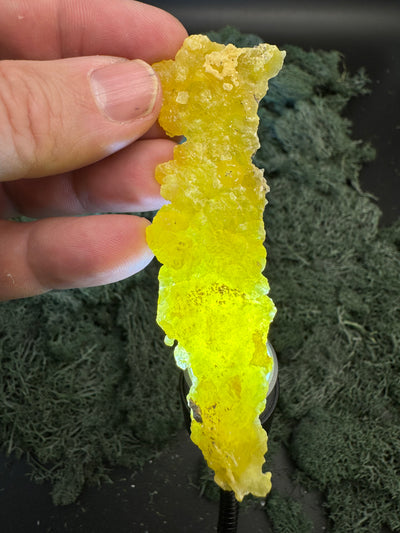 Brucit aus Kharan, Pakistan (18,8g) - leuchtend schönes Gelb, langgezogen - crystal paradise