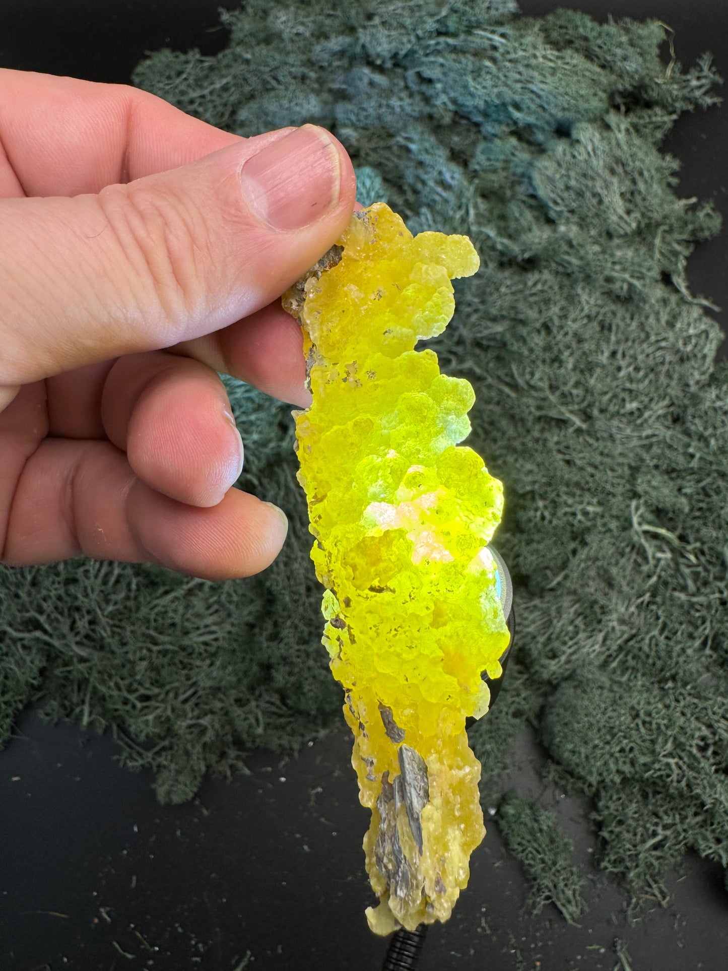 Brucit aus Kharan, Pakistan (18,8g) - leuchtend schönes Gelb, langgezogen - crystal paradise