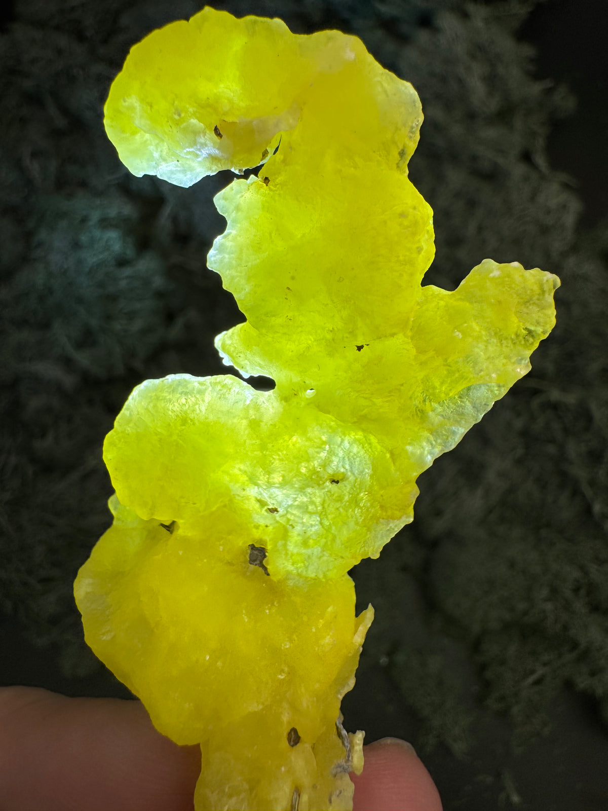 Brucit aus Pakistan - Kharan, Pakistan, Stufe 8 × 4 × 2 cm