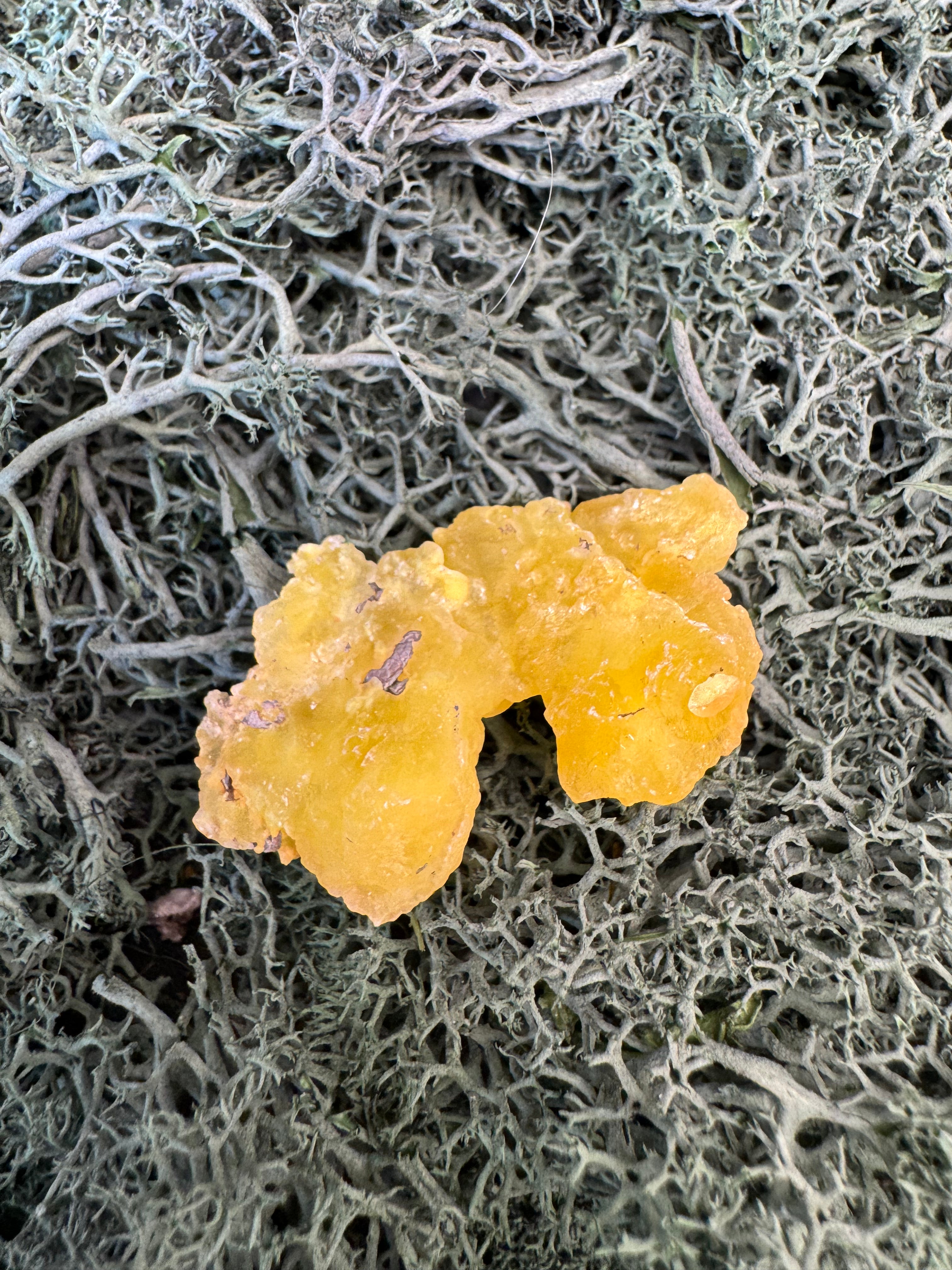 Brucit aus Kharan, Pakistan (8g) - leuchtend schönes Gelb - crystal paradise