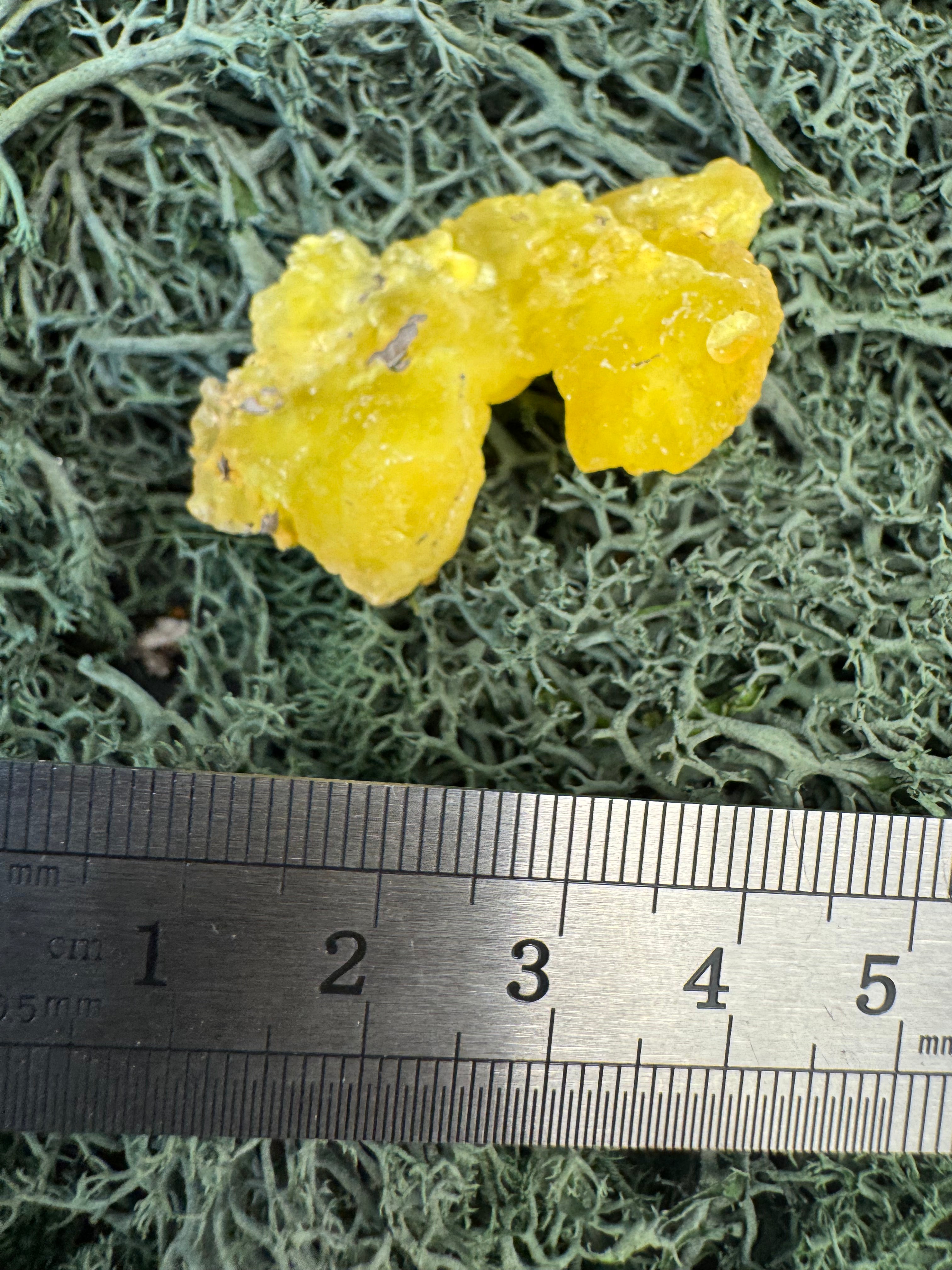 Brucit aus Kharan, Pakistan (8g) - leuchtend schönes Gelb - crystal paradise