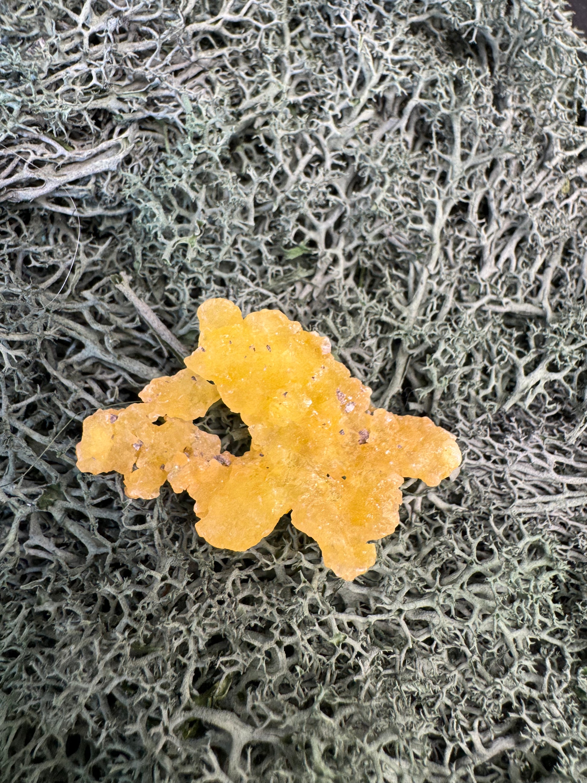 Brucit aus Kharan, Pakistan (7,5g) - leuchtend schönes Gelb - crystal paradise