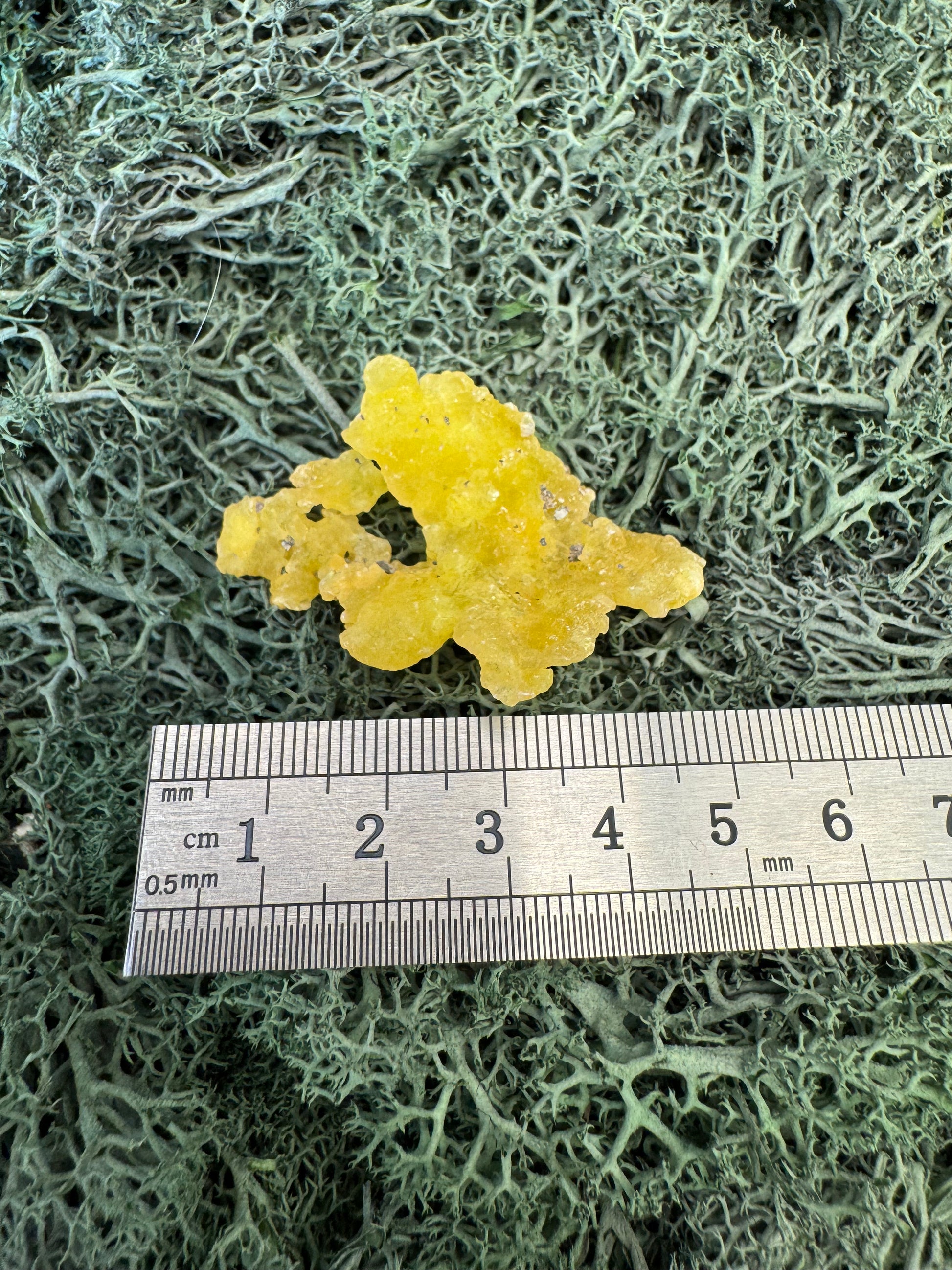 Brucit aus Kharan, Pakistan (7,5g) - leuchtend schönes Gelb - crystal paradise