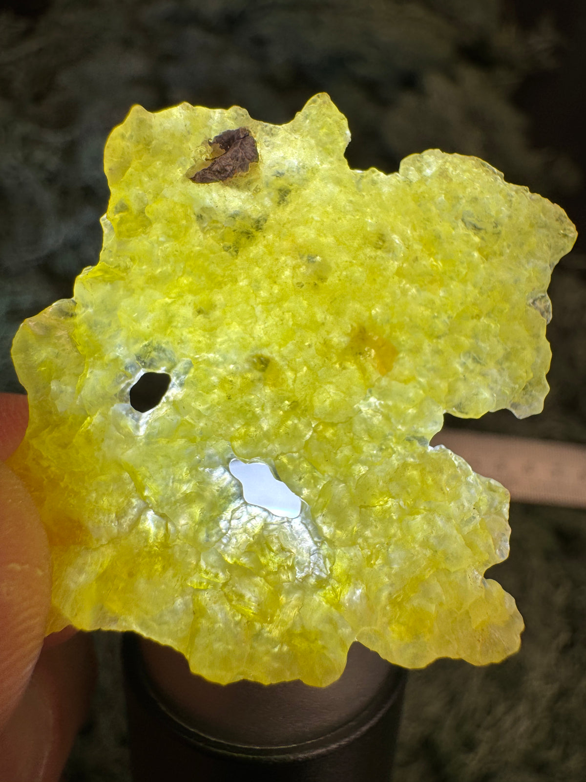 Brucit aus Pakistan - Kharan, Pakistan, Stufe 3 × 3,5 × 0,3 cm