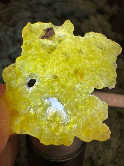 Brucit aus Kharan, Pakistan (3,1g) - leuchtend schönes Gelb, hauch-dünn - crystal paradise