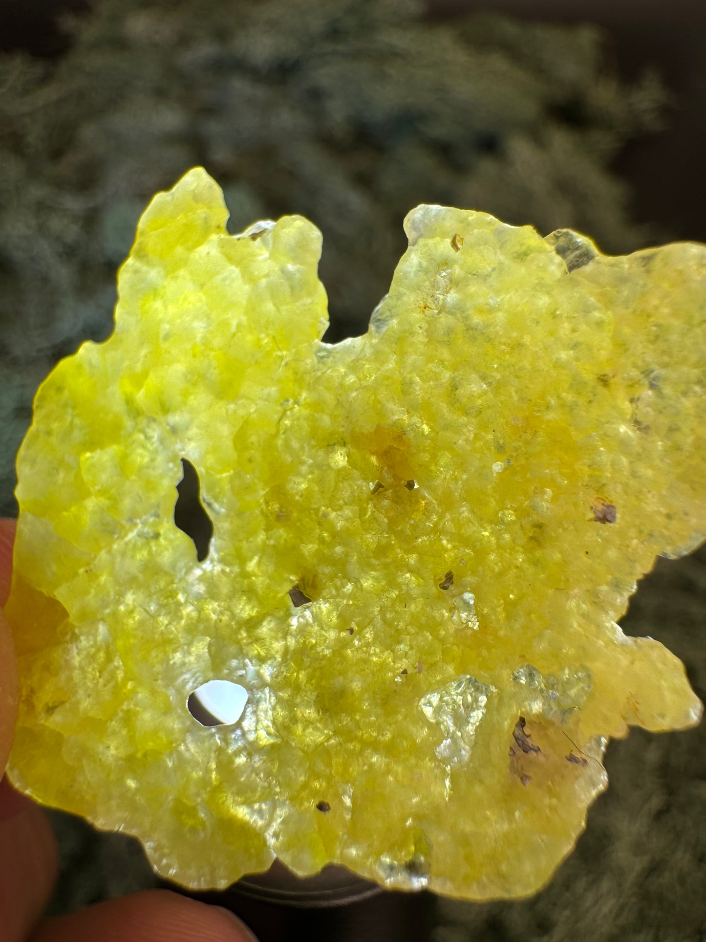 Brucit aus Kharan, Pakistan (3,1g) - leuchtend schönes Gelb, hauch-dünn - crystal paradise
