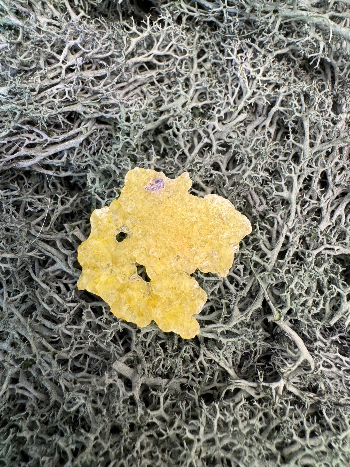 Brucit aus Kharan, Pakistan (3,1g) - leuchtend schönes Gelb, hauch-dünn - crystal paradise