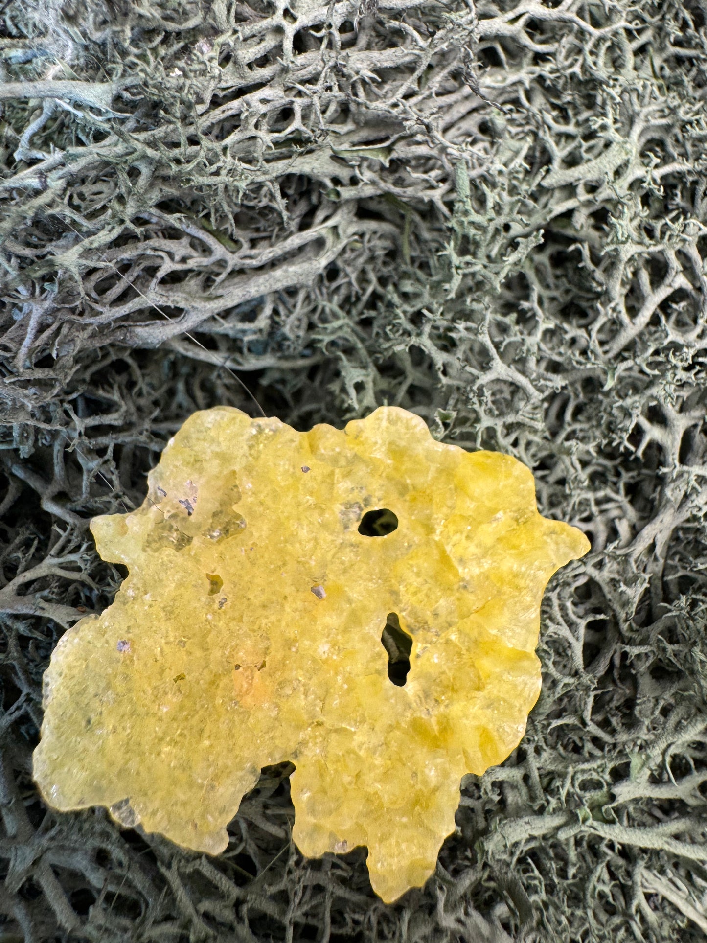 Brucit aus Kharan, Pakistan (3,1g) - leuchtend schönes Gelb, hauch-dünn - crystal paradise