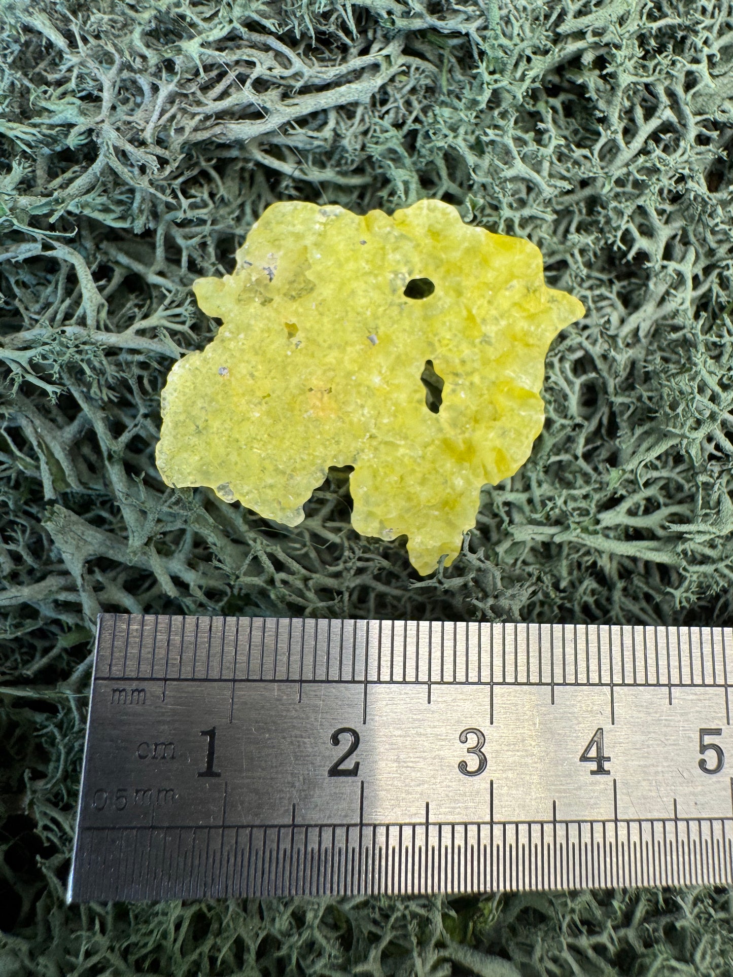 Brucit aus Kharan, Pakistan (3,1g) - leuchtend schönes Gelb, hauch-dünn - crystal paradise