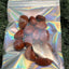 Crystal Power - Red Jasper - 100g - Fördert Innere Harmonie und Zufriedenheit - crystal paradise