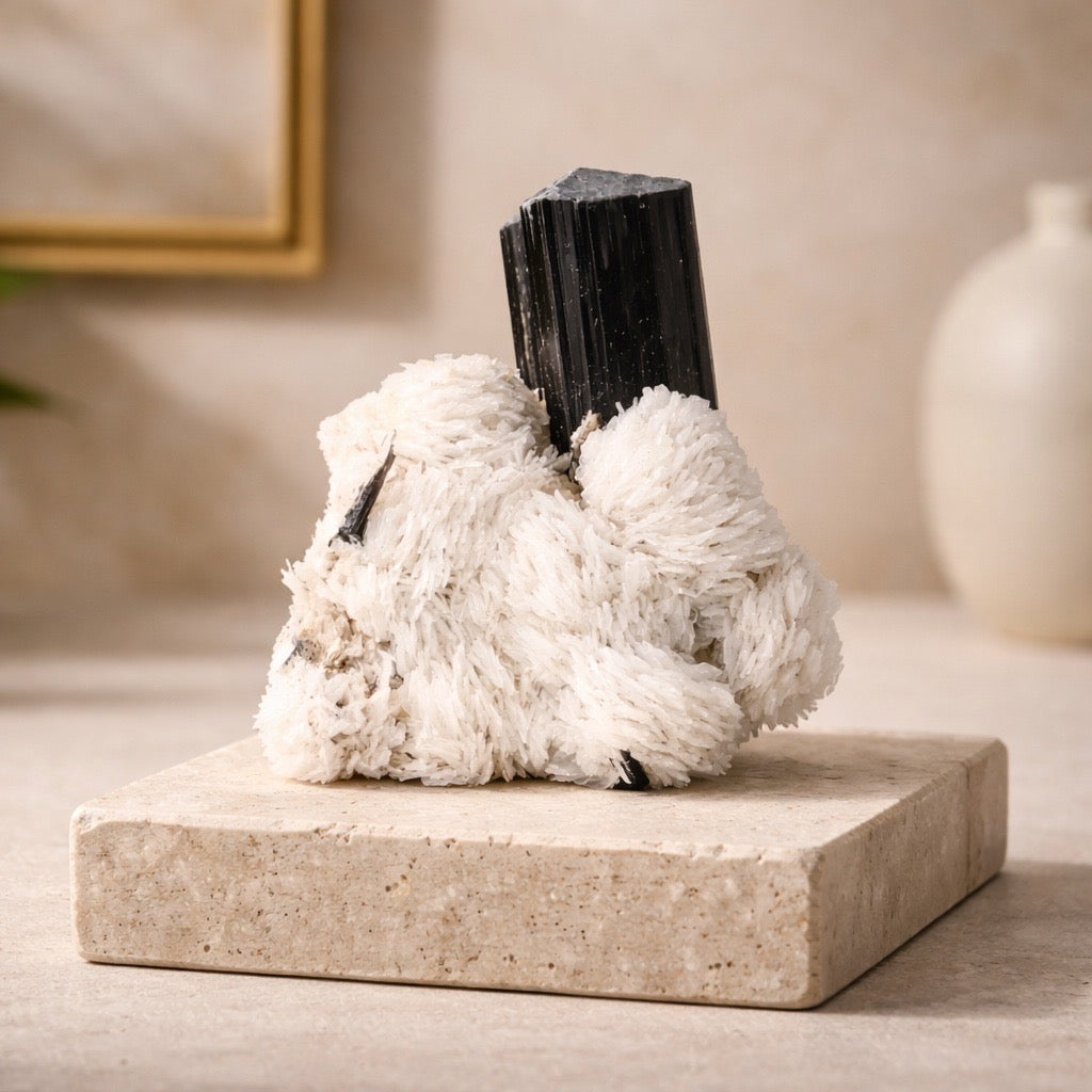 Schwarzer Schörl Turmalin an Himalaya Bergkristall (46,6g) - crystal paradise