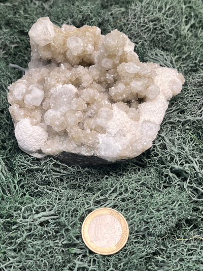 Okenit auf Apophyllit Cluster (Handstufe) aus Indien (494g) - sehr schöne Druzys und Stalagtiten - crystal paradise