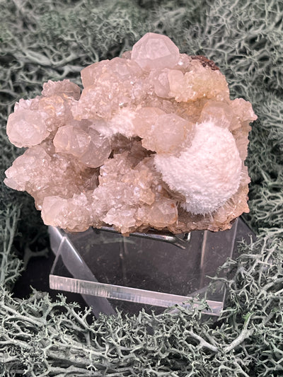 Okenit auf Apophyllit Cluster (Stufe) aus Indien (88g) - sehr schöne Kristallbildungen - crystal paradise