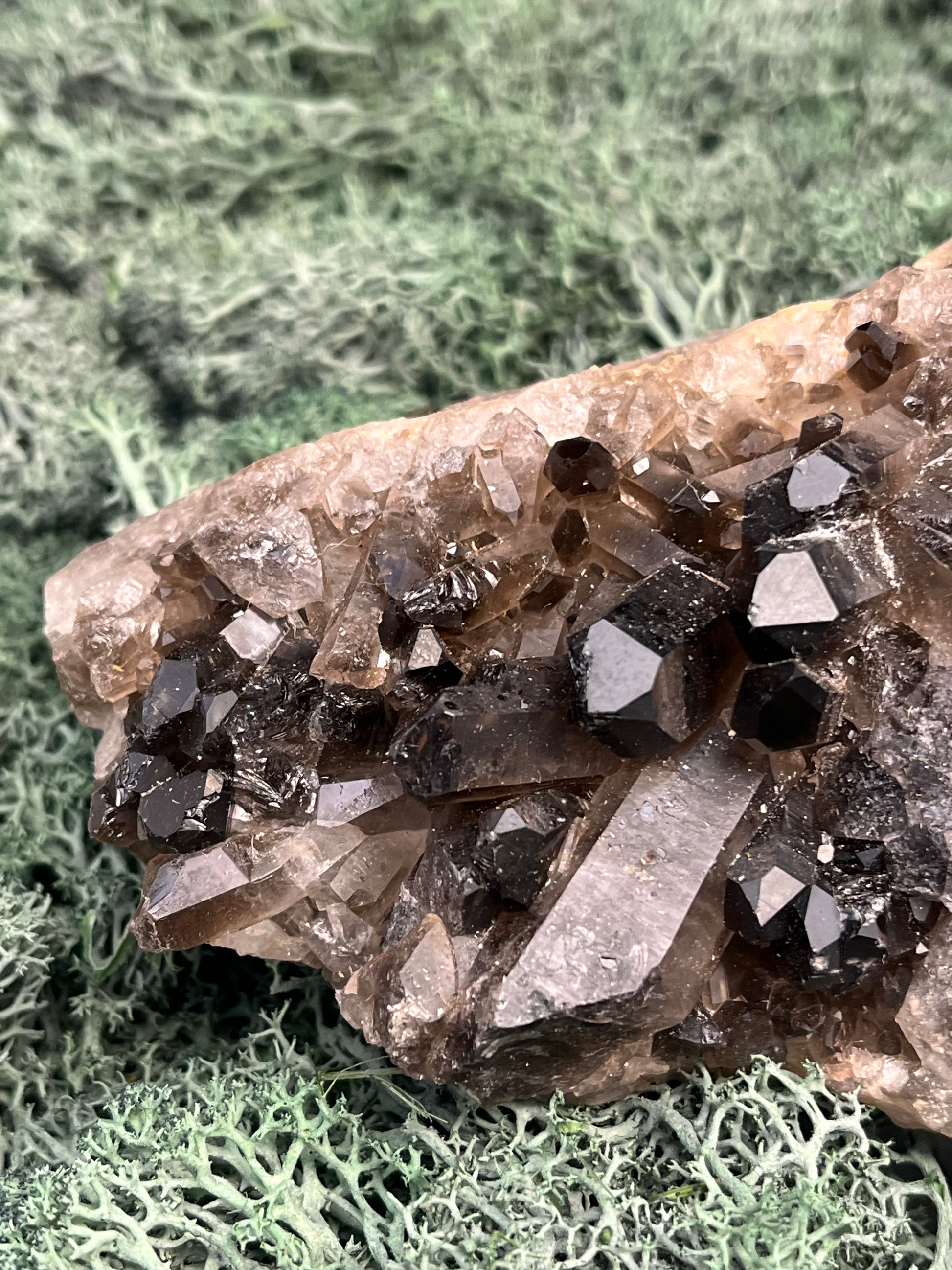 Rauchquarz Großstufe aus Brasilien (853g) - schöne dunkle Kristalle - crystal paradise