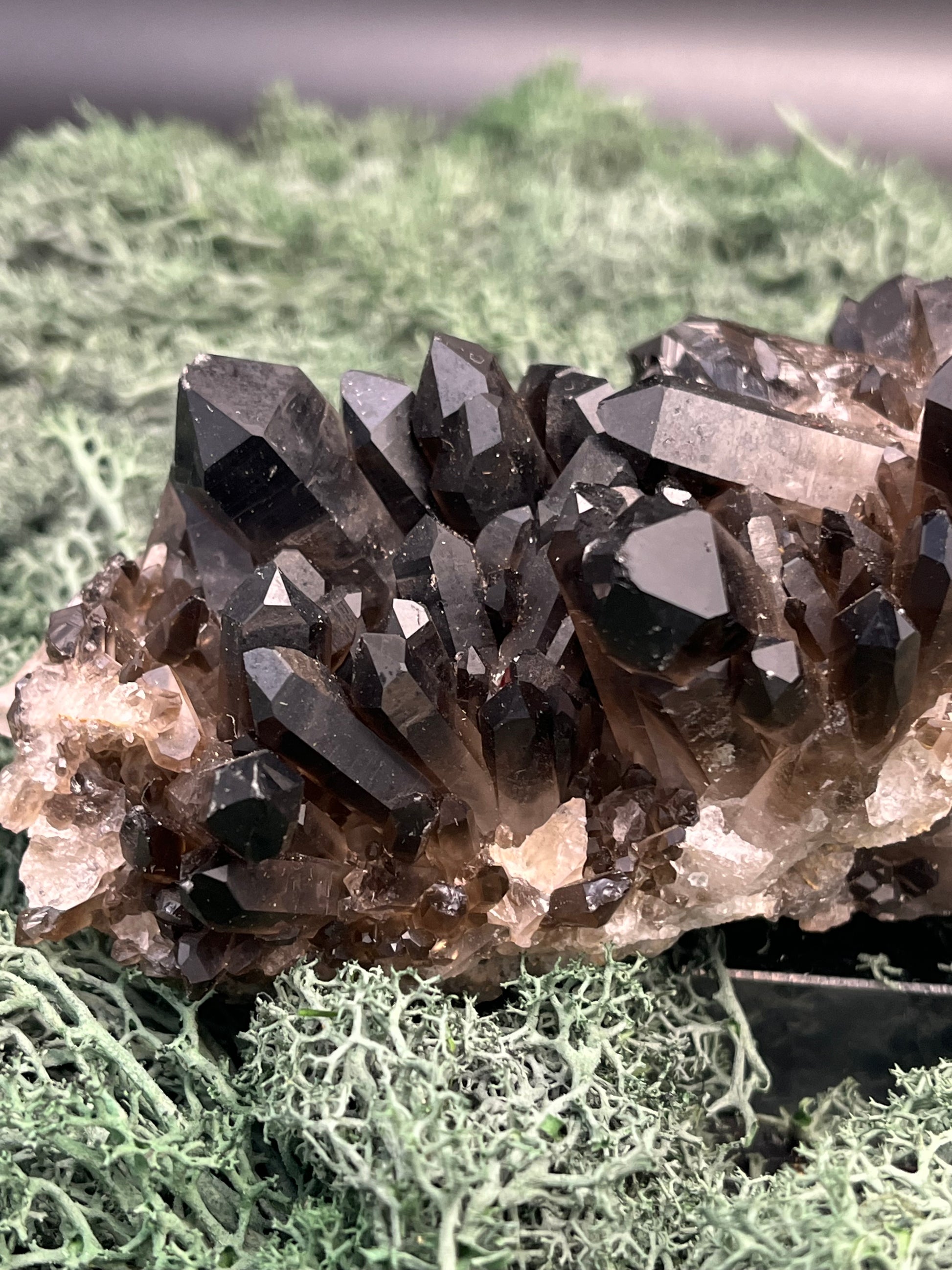 Rauchquarz Großstufe aus Brasilien (853g) - schöne dunkle Kristalle - crystal paradise