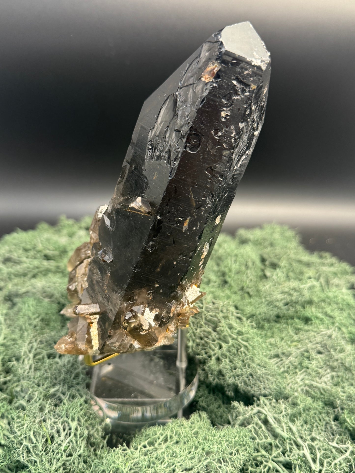 Rauchquarz Großstufe aus Brasilien (893g) - großer schöner dunkler Kristall - crystal paradise