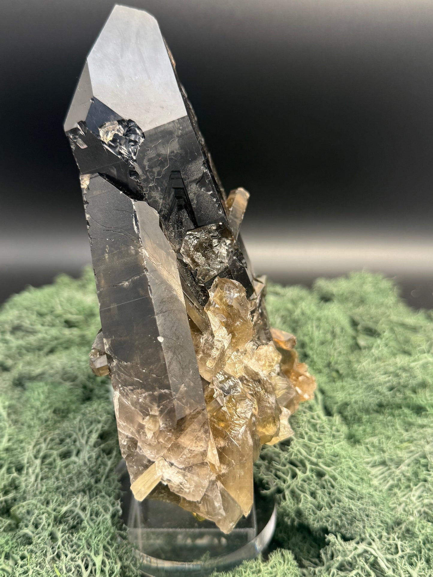 Rauchquarz Großstufe aus Brasilien (893g) - großer schöner dunkler Kristall - crystal paradise