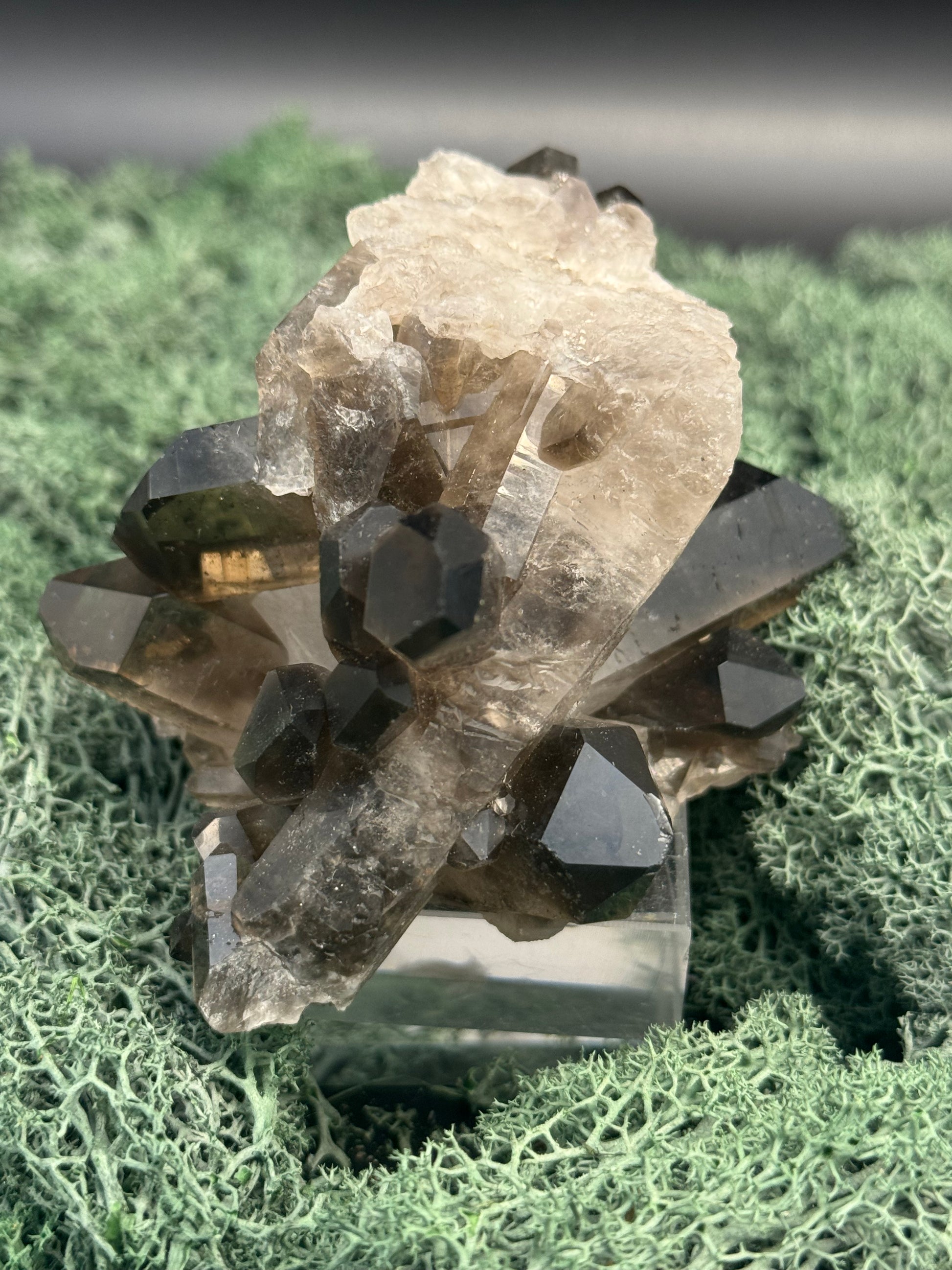 Rauchquarz Handstufe aus Brasilien (400g) - schöne Kristallformation - crystal paradise