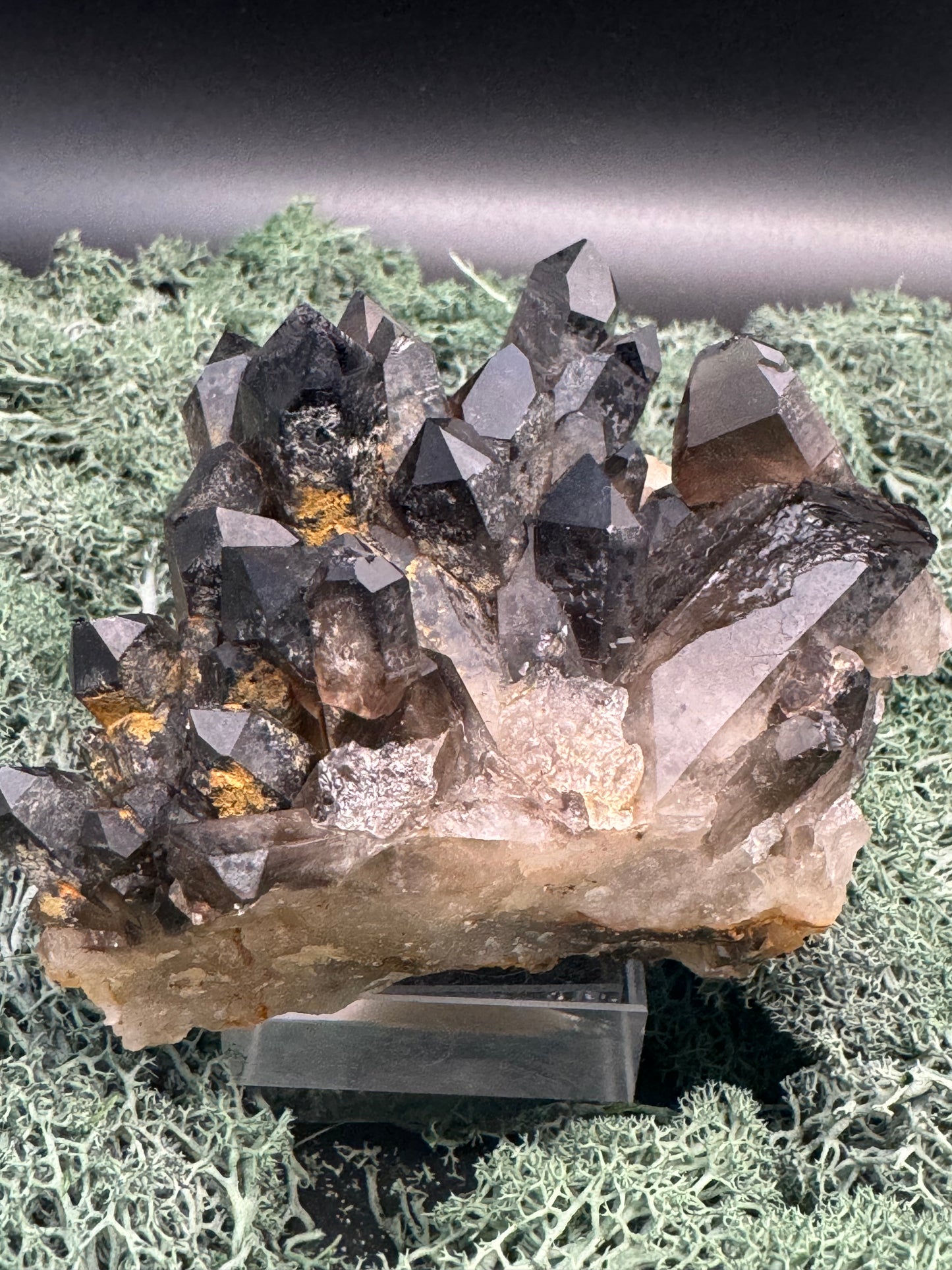 Rauchquarz Handstufe aus Brasilien (646g) - schöne Kristallformation - crystal paradise