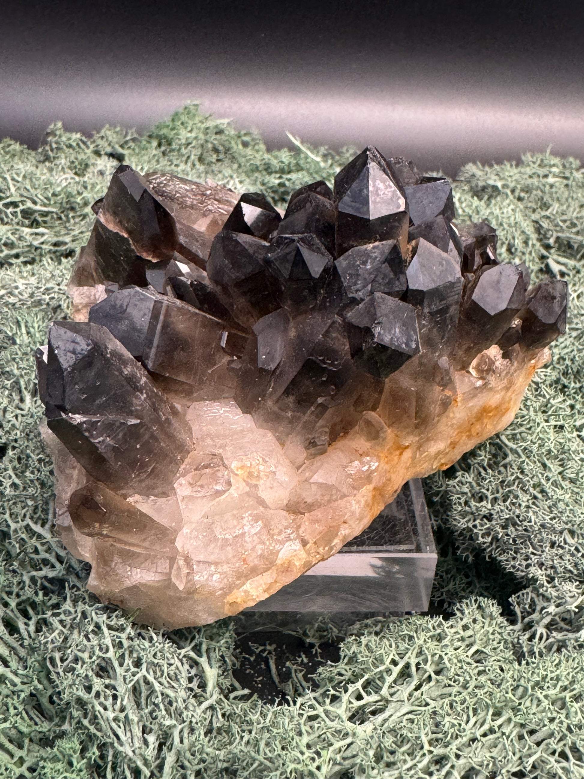 Rauchquarz Handstufe aus Brasilien (646g) - schöne Kristallformation - crystal paradise