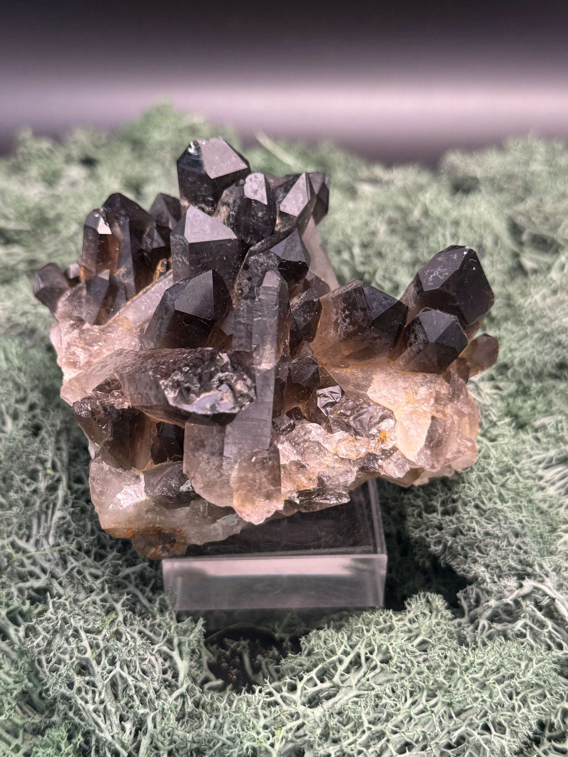 Rauchquarz Handstufe aus Brasilien (646g) - schöne Kristallformation - crystal paradise