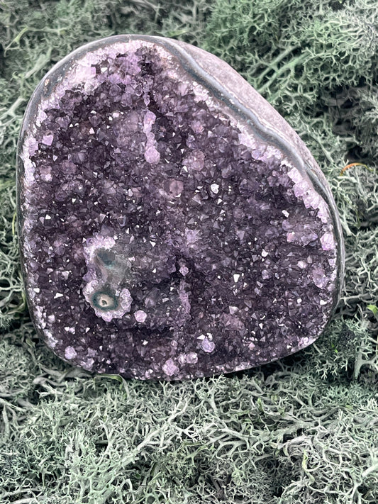 Achatisierte Amethyst Druse aus Uruguay (1010g) - schönes violett!