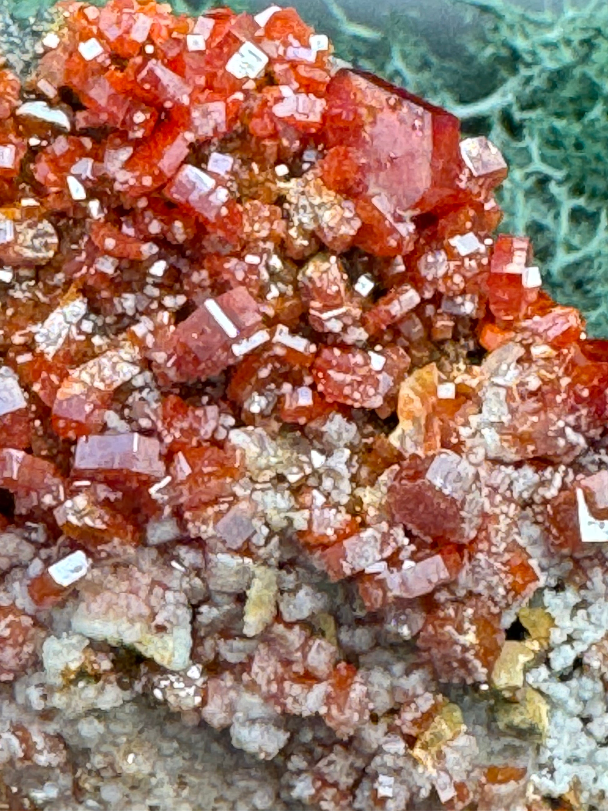 Vanadenit Stufe aus Marokko (558g) - super schöne große rote Kristalle - crystal paradise