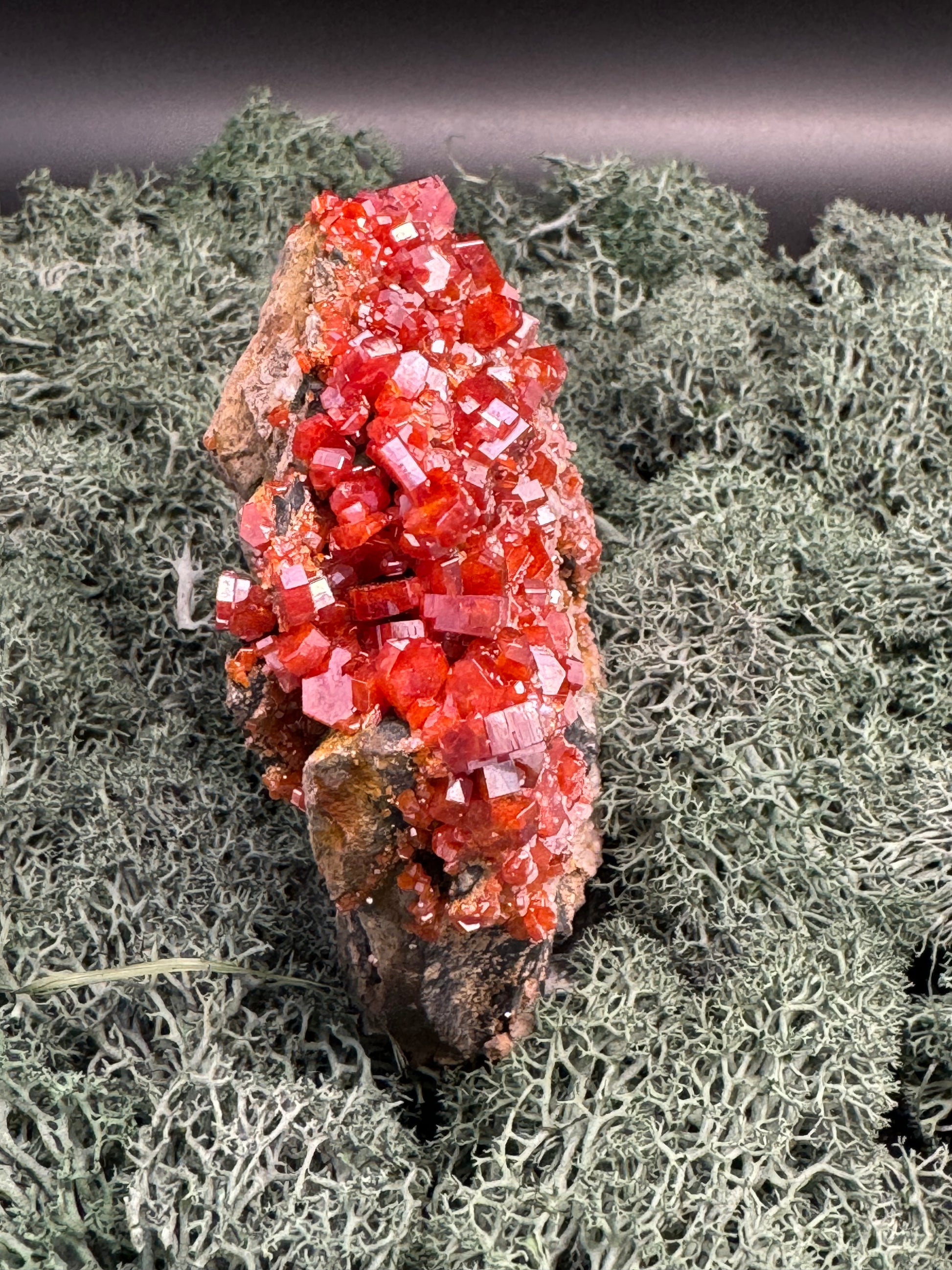 Vanadenit Stufe aus Marokko (558g) - super schöne große rote Kristalle - crystal paradise