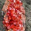 Vanadenit Stufe aus Marokko (558g) - super schöne große rote Kristalle - crystal paradise