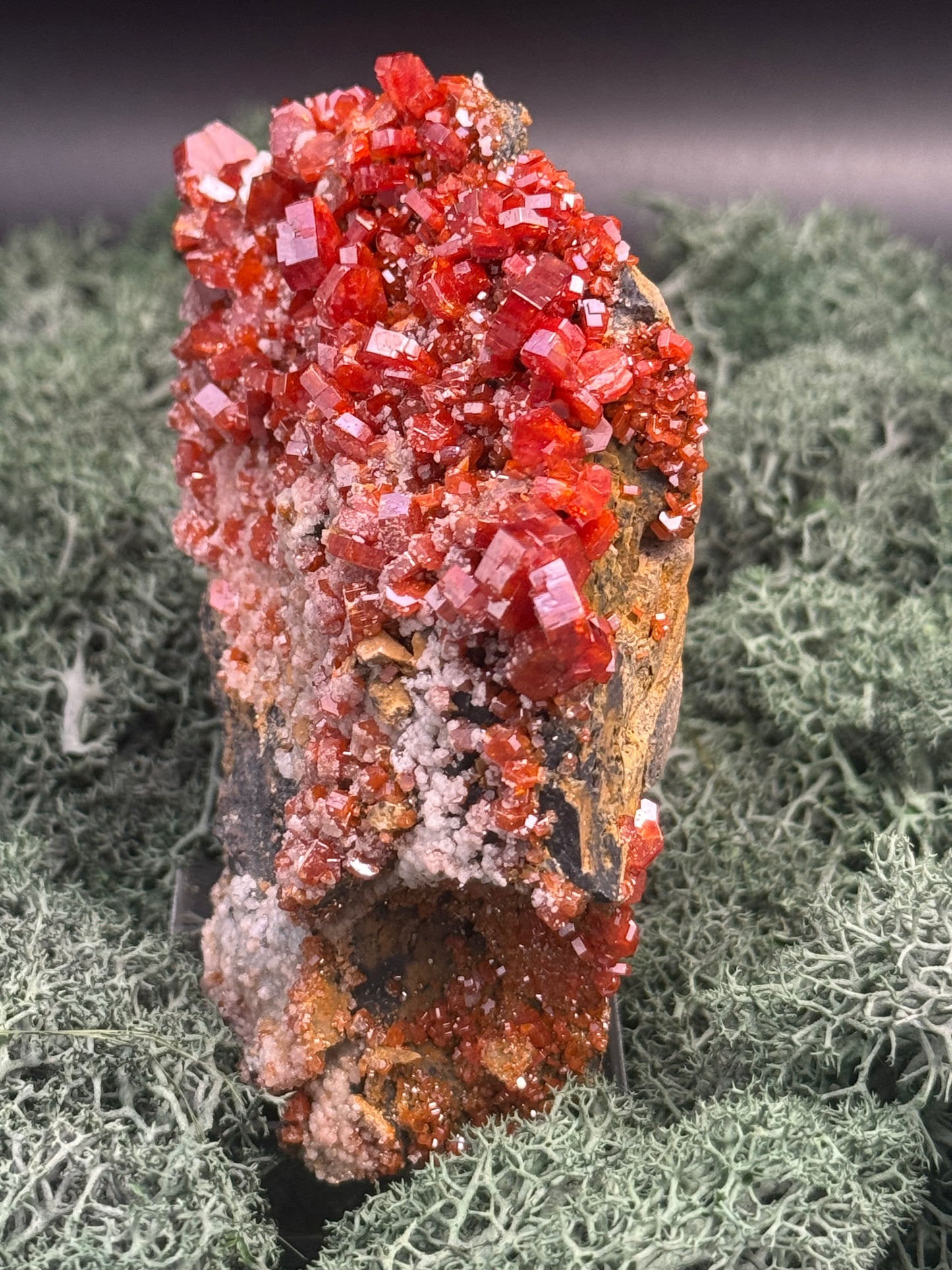 Vanadenit Stufe aus Marokko (558g) - super schöne große rote Kristalle - crystal paradise