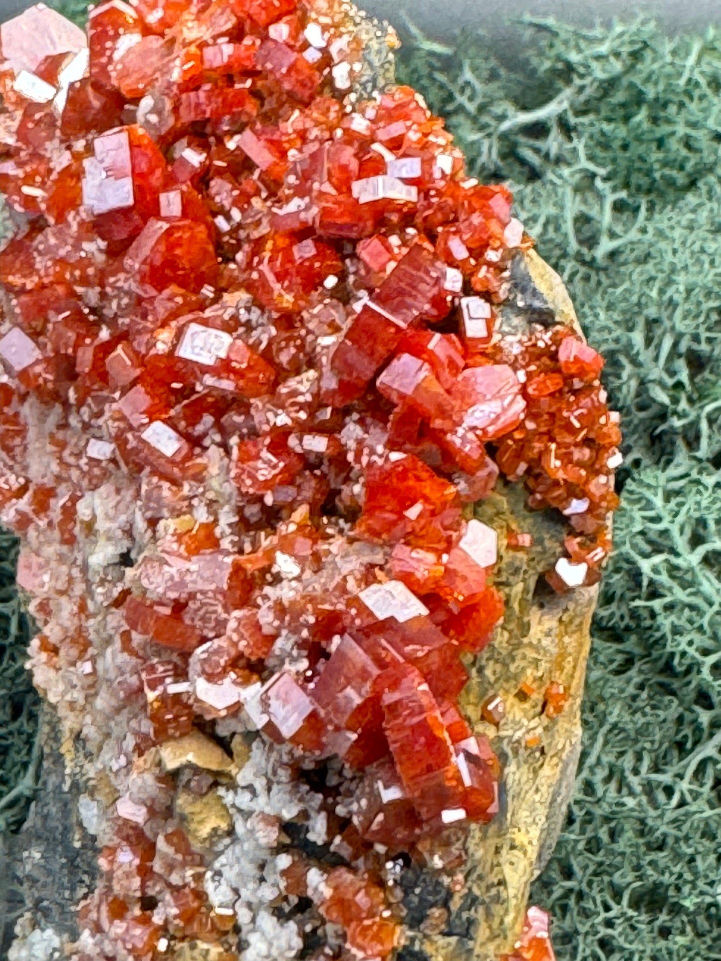 Vanadenit Stufe aus Marokko (558g) - super schöne große rote Kristalle - crystal paradise