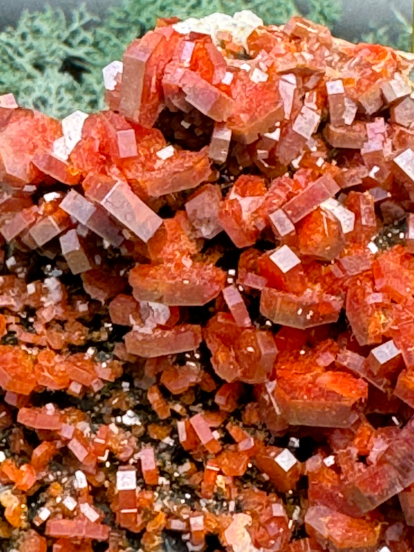 Vanadenit Stufe aus Marokko (490g) - super schöne große rote Kristalle - crystal paradise