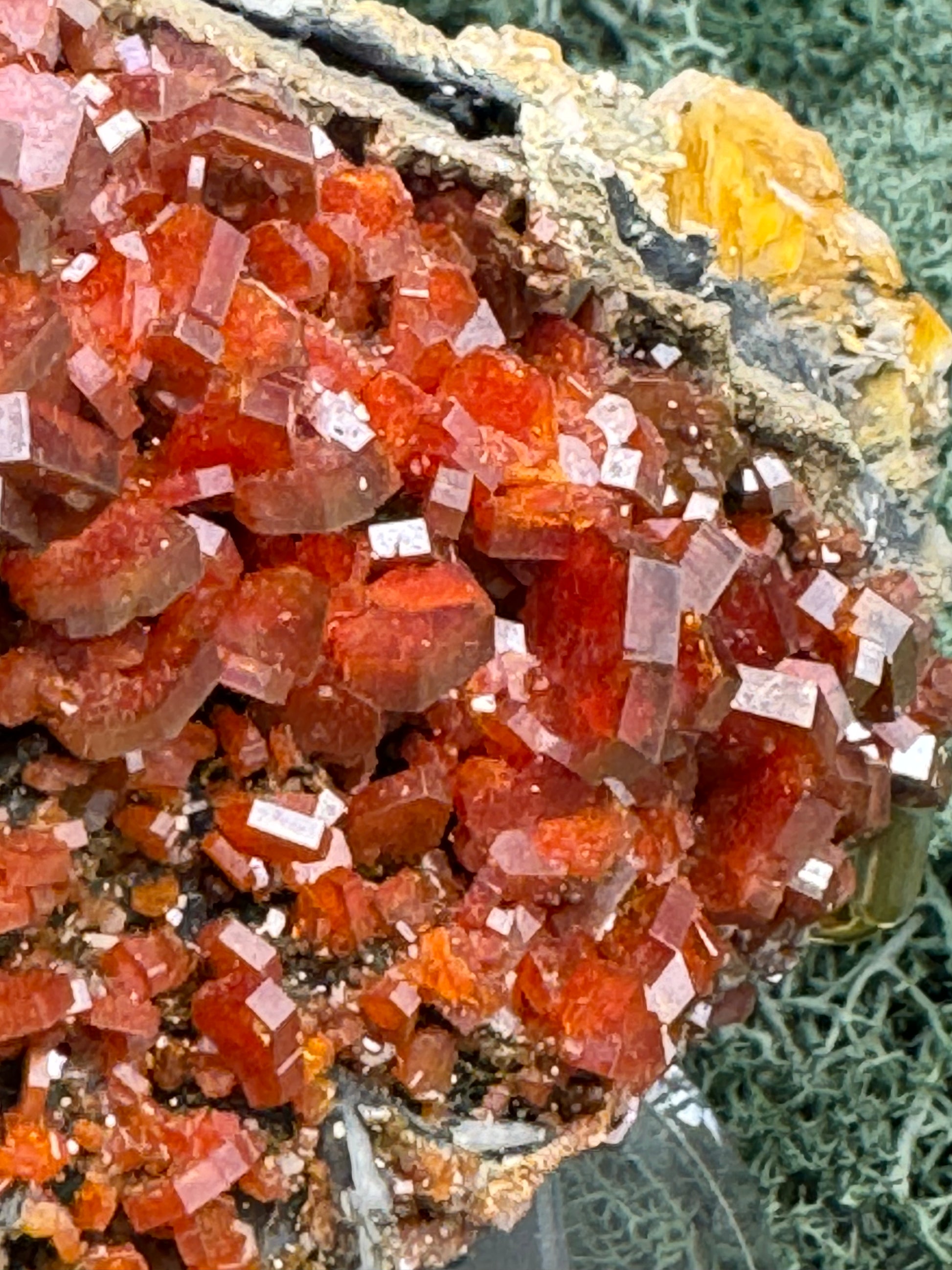 Vanadenit Stufe aus Marokko (490g) - super schöne große rote Kristalle - crystal paradise