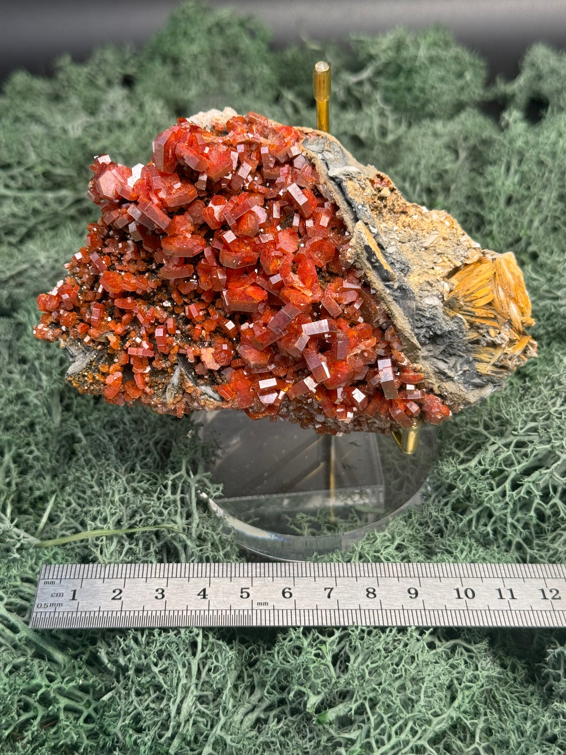 Vanadenit Stufe aus Marokko (490g) - super schöne große rote Kristalle - crystal paradise