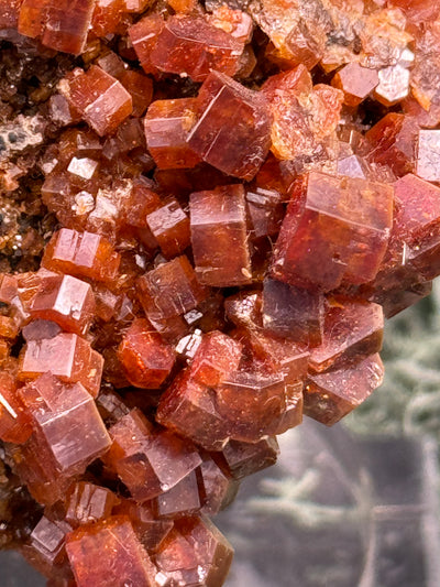 Vanadenit Stufe aus Marokko (202g) - super schöne große rote Kristalle - crystal paradise