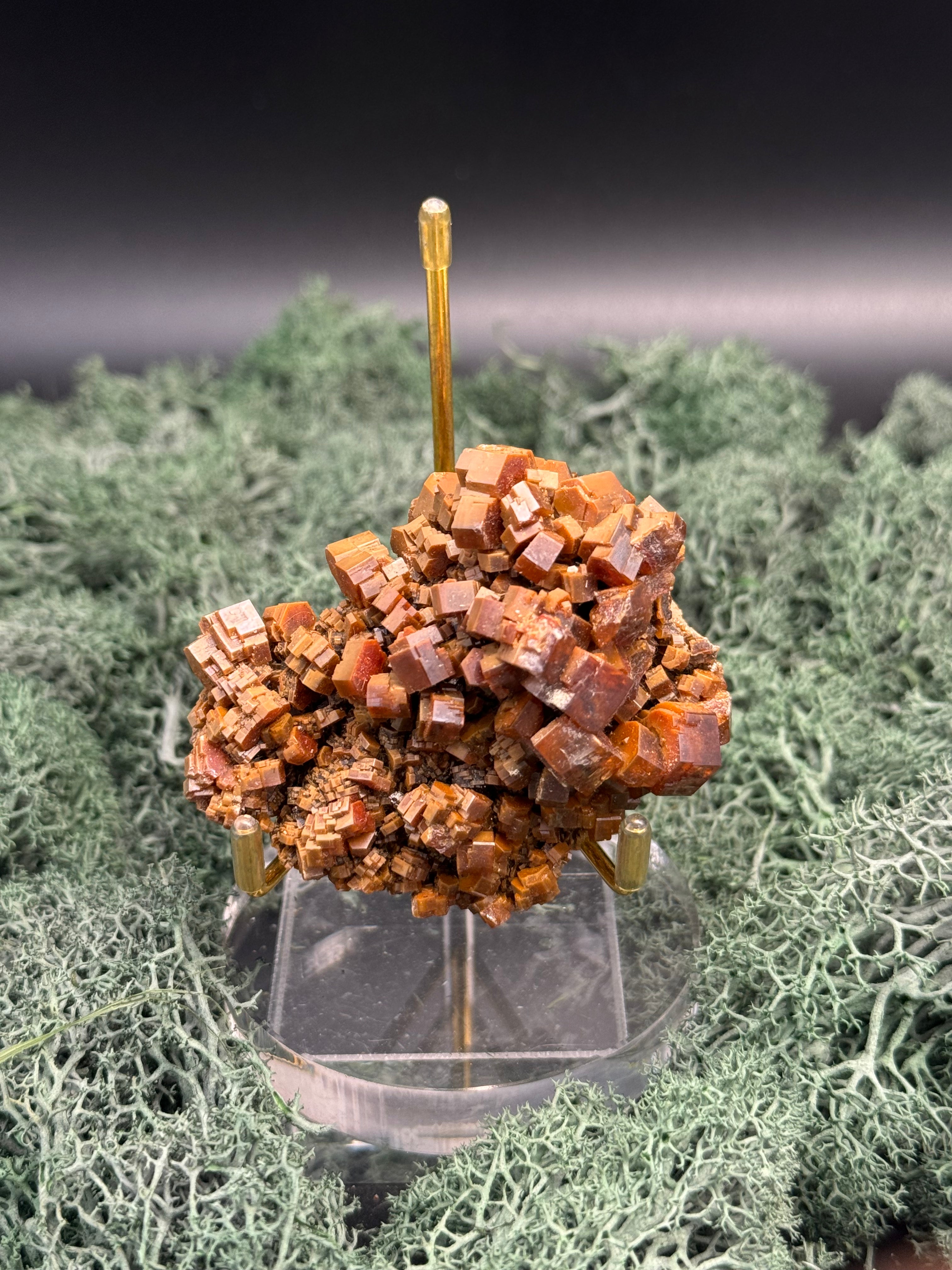 Vanadenit Stufe aus Marokko (227g) - super schöne große rote Kristalle - crystal paradise