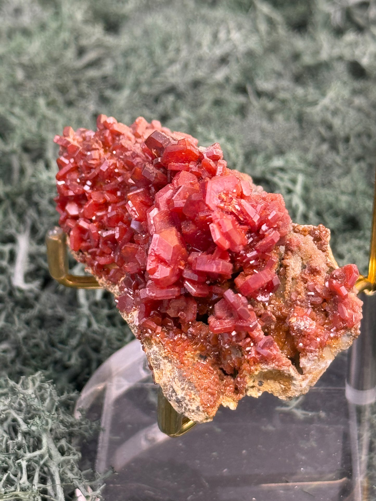 Vanadenit Stufe aus Marokko (149g) - super schöne große rote Kristalle - crystal paradise