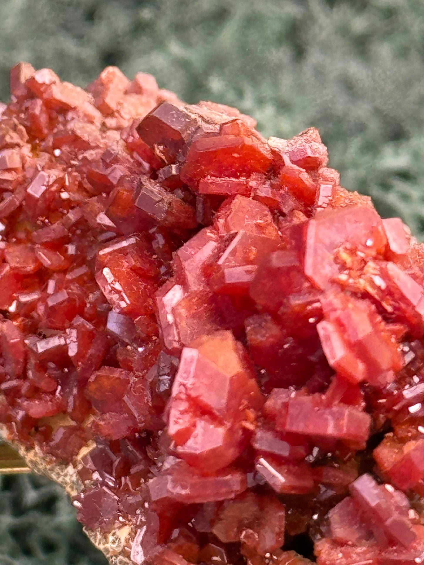 Vanadenit Stufe aus Marokko (149g) - super schöne große rote Kristalle - crystal paradise