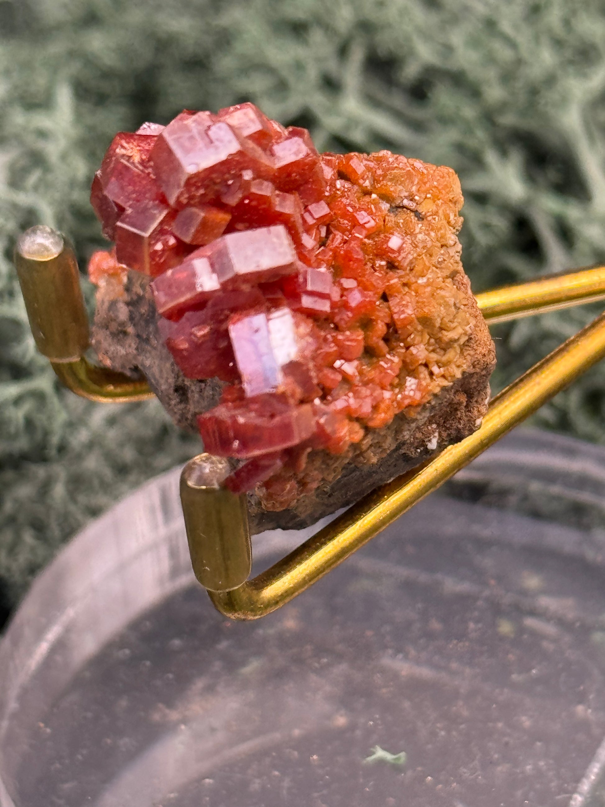 Vanadenit Stufe aus Marokko (23g) - schöne rote Kristalle - crystal paradise