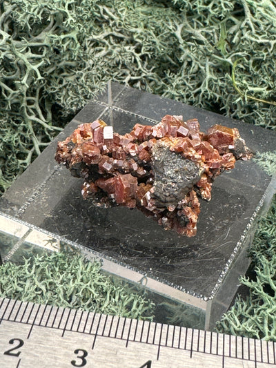 Vanadenit Stufe aus Marokko (21g) - super schöne rote Kristalle - crystal paradise