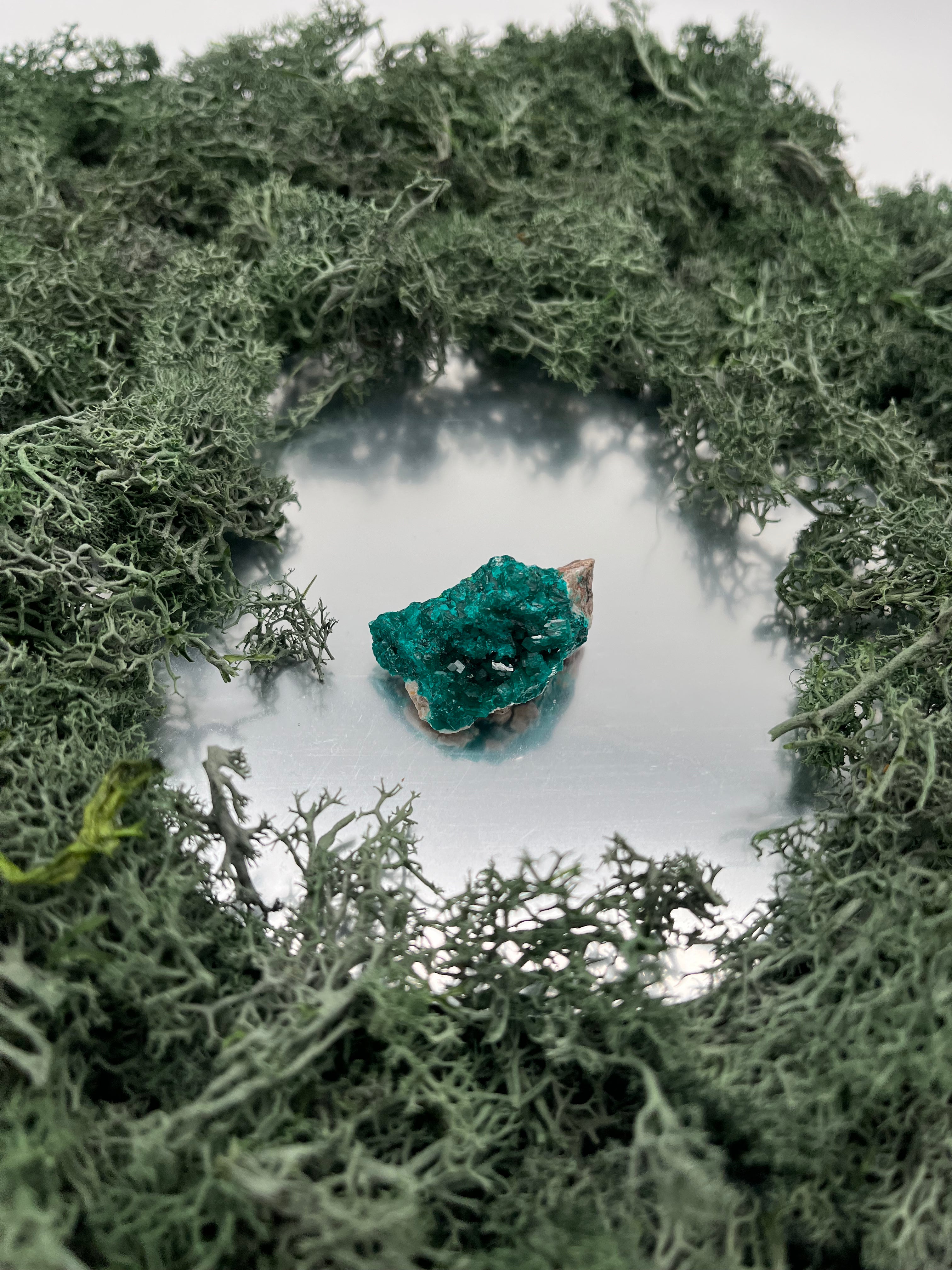 Dioptas aus Mindouli (17g) - exquisites smaragdgrün - crystal paradise
