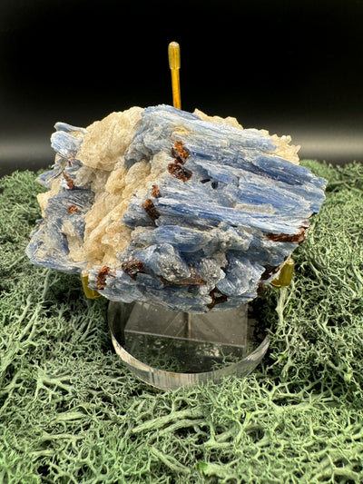 Blauer Kyanit Handstufe aus Brasilien (526g) - schöne Kristallstäbe - crystal paradise