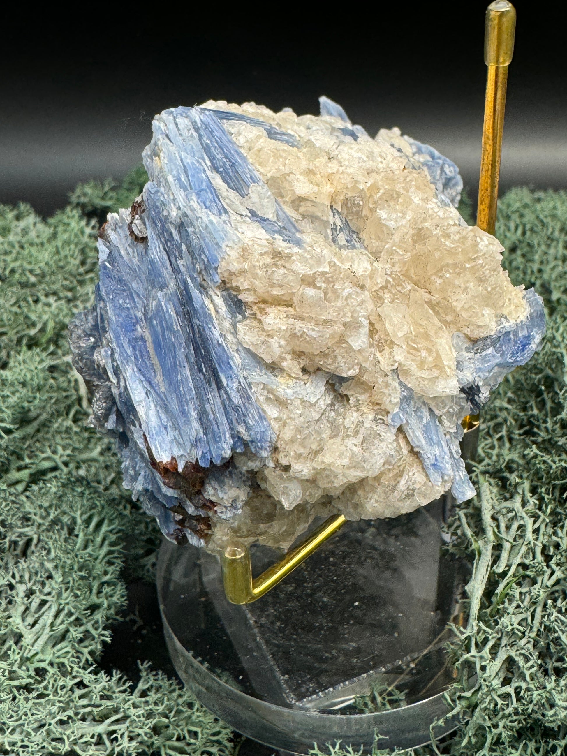 Blauer Kyanit Handstufe aus Brasilien (526g) - schöne Kristallstäbe - crystal paradise