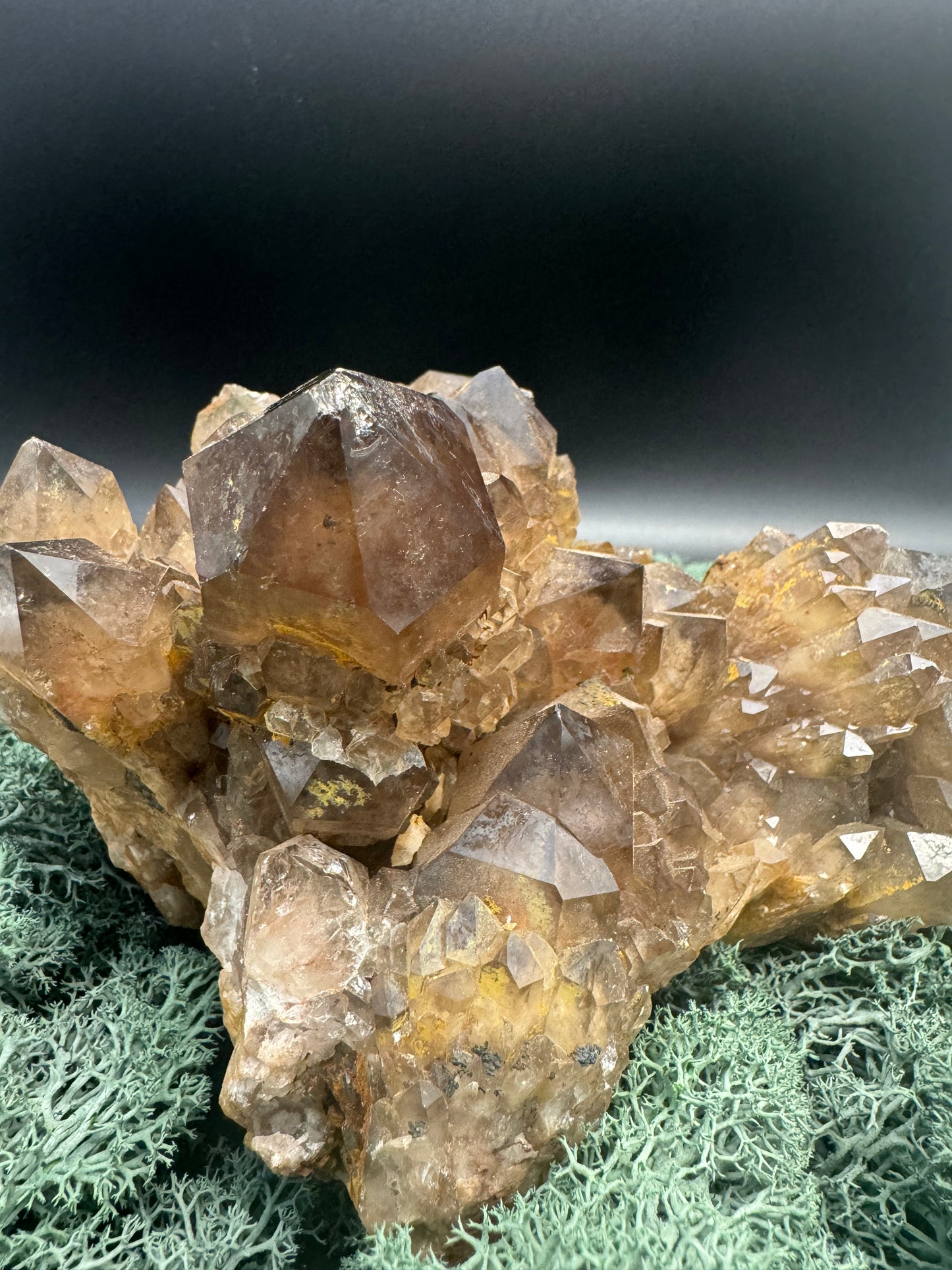 Citrin Großstufe aus Kunduluni, Kongo (1471g) - schöne große Kristalle - crystal paradise