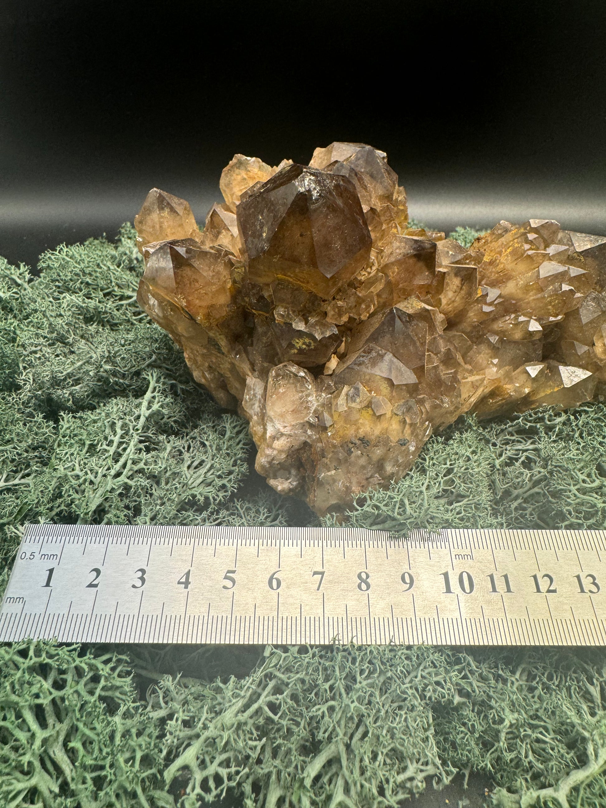 Citrin Großstufe aus Kunduluni, Kongo (1471g) - schöne große Kristalle - crystal paradise