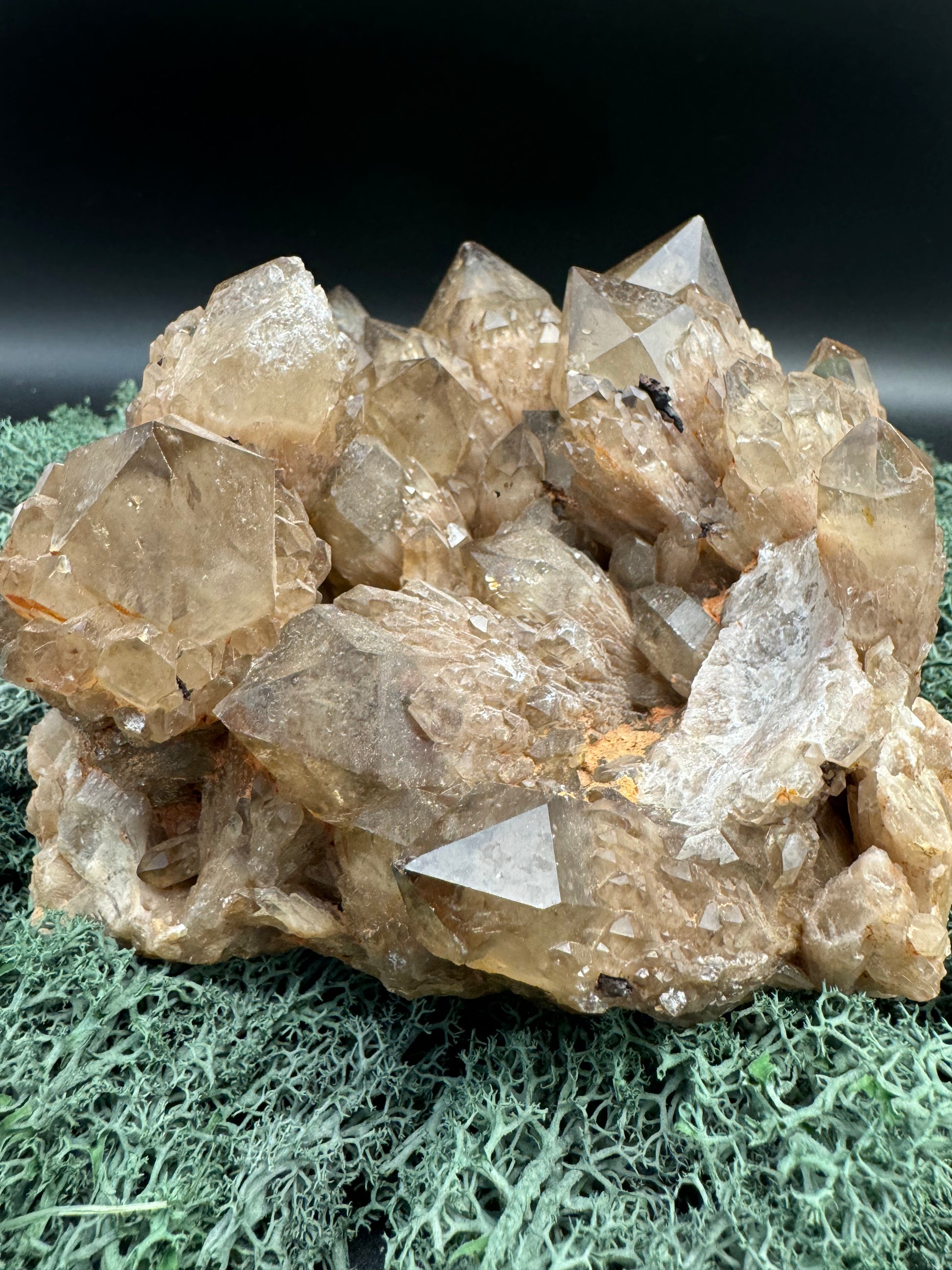 Citrin Großstufe aus Kunduluni, Kongo (2121g) - schöne große Kristalle - crystal paradise