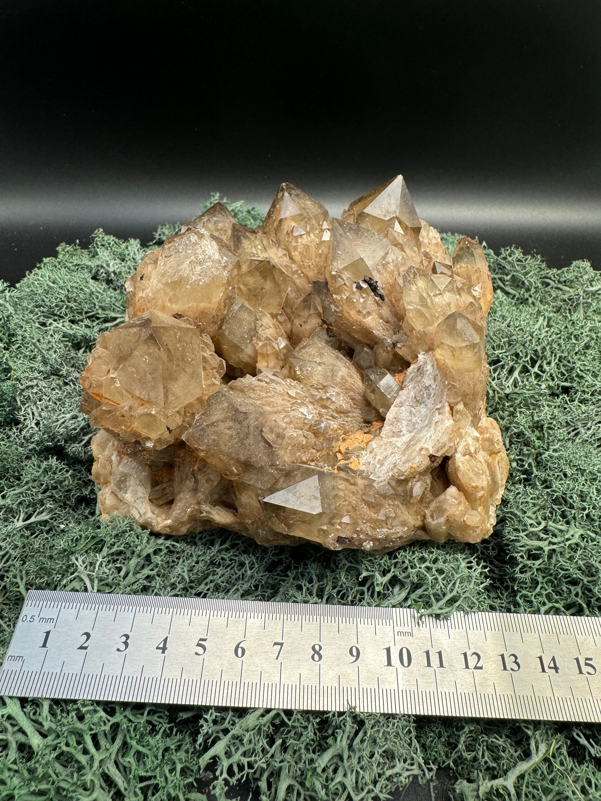 Citrin Großstufe aus Kunduluni, Kongo (2121g) - schöne große Kristalle - crystal paradise