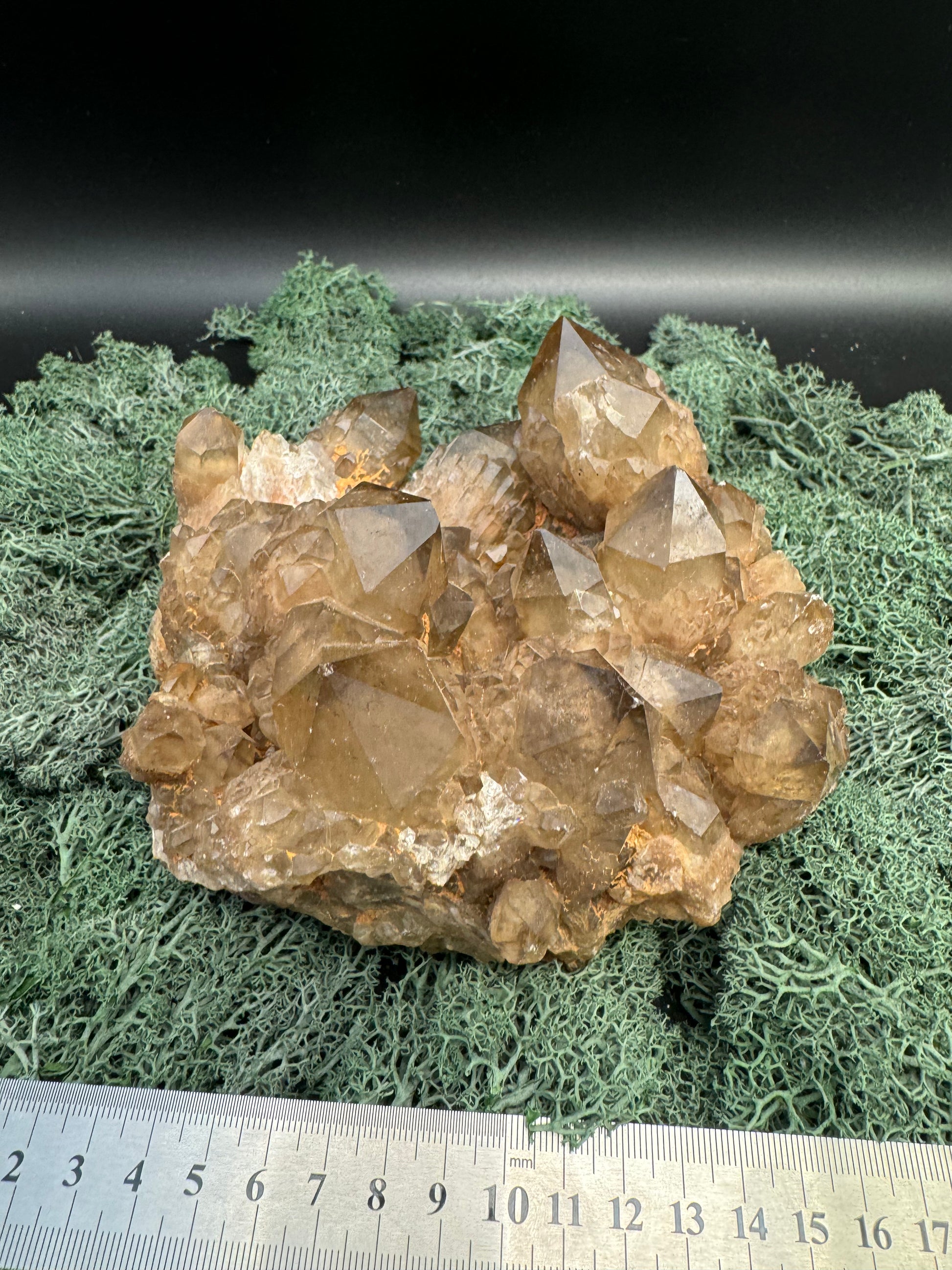 Citrin Großstufe aus Kunduluni, Kongo (2121g) - schöne große Kristalle - crystal paradise